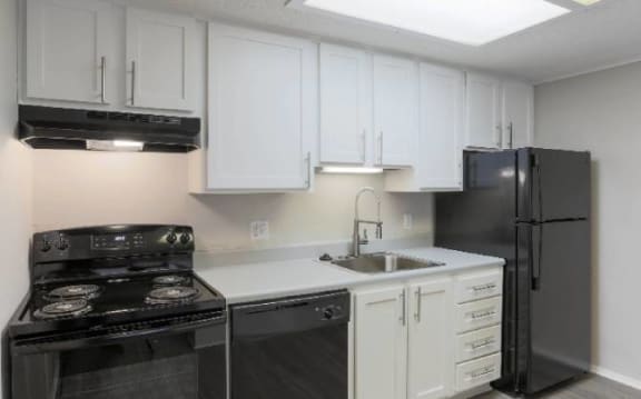 Chef-Inspired Kitchens Feature Stainless Steel Appliances Chef-Inspired Kitchens Feature Stainless Steel Appliancesat Elevate Woodstock Apartmnets, Georgia