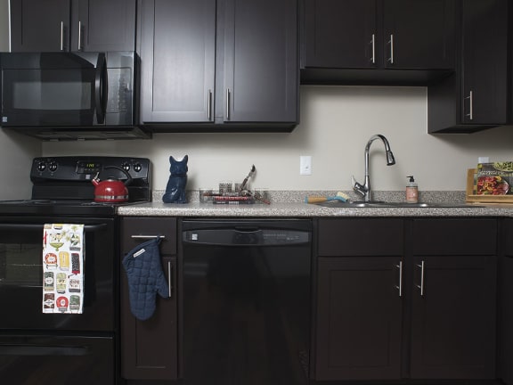 Sink With Faucet In Kitchen at The Pointe at St. Joseph Apartments, South Bend, 46617