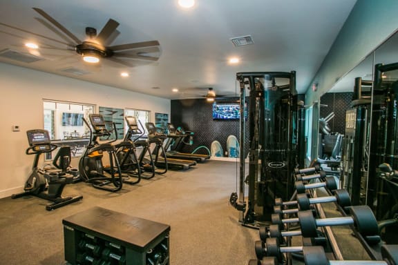 Gym with cardio and weight equipment.