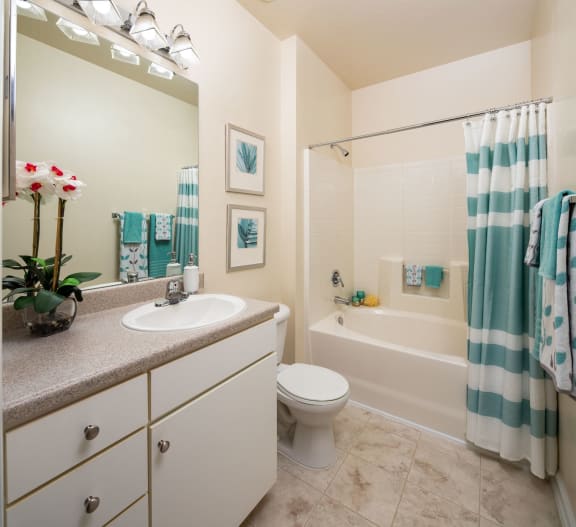 Bathroom With Bathtub at Abberly Place at White Oak Crossing Apartments, HHHunt Corporation, Garner, North Carolina