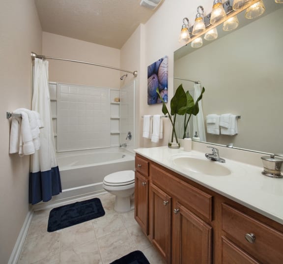 Oval Soaking Tubs In Bathroom at Abberly Pointe Apartment Homes by HHHunt, South Carolina