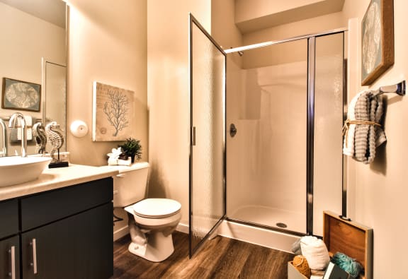 Bathroom with cabinets , shower at Aventura at Wentzville, Wentzville, 63385