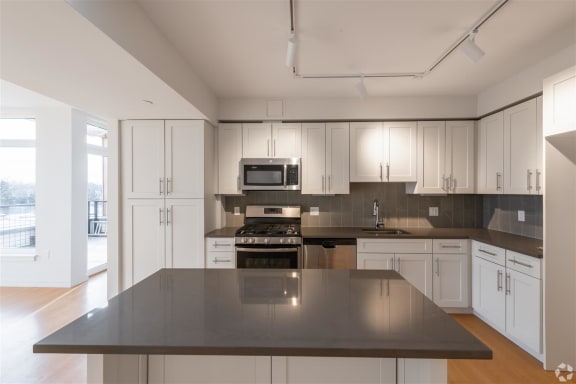 Modern Kitchen With Custom Cabinet at Park77, Cambridge