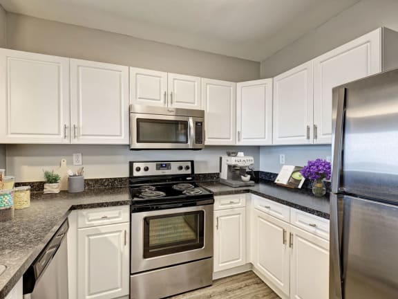 Newly  Renovated One and Two Bedroom Apartments  with Chef&#x27;s Kitchen and Stainless Appliances