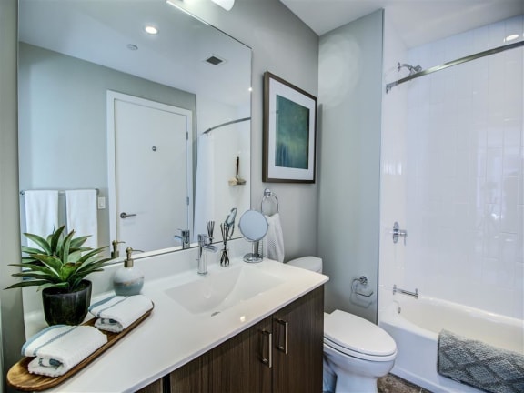 Spa Inspired Bathroom at Via Seaport Residences, Massachusetts