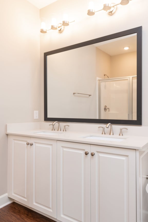 Double Vanity in the Master Bathroom at Greystone Pointe, Knoxville, 37932