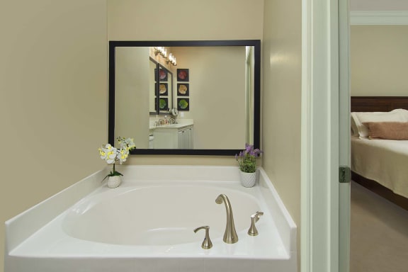 Large Soaking Tub In Master Bathroom at Greystone Pointe, Knoxville, TN