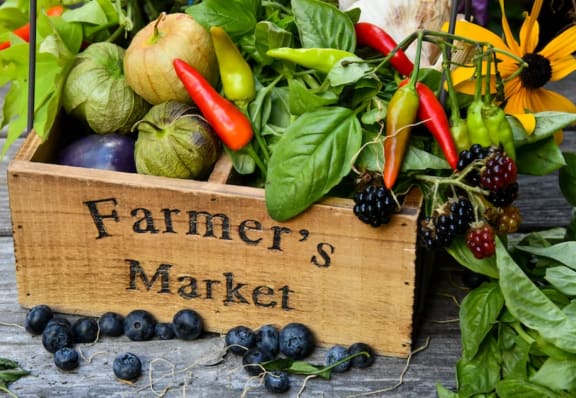 Vegetables - Farmers Market at Pacific Oaks, Goleta, CA, 93117
