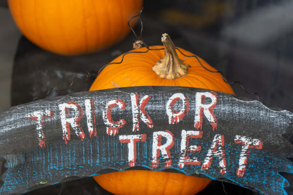 Trick or Treat Post