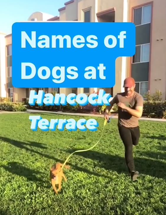 Man Running with a Dog at at Hancock Terrace Apartments, Santa Maria, CA, 93454