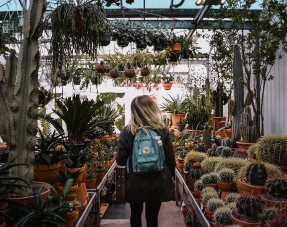 Cactus Plants at Cypress Point, California, 93003