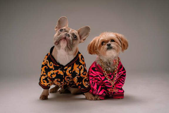 Pets at Cypress Point, Ventura, CA, 93003