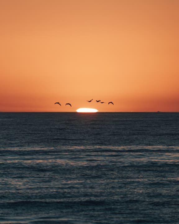 Ocean at Ralston Courtyards, Ventura, 93003