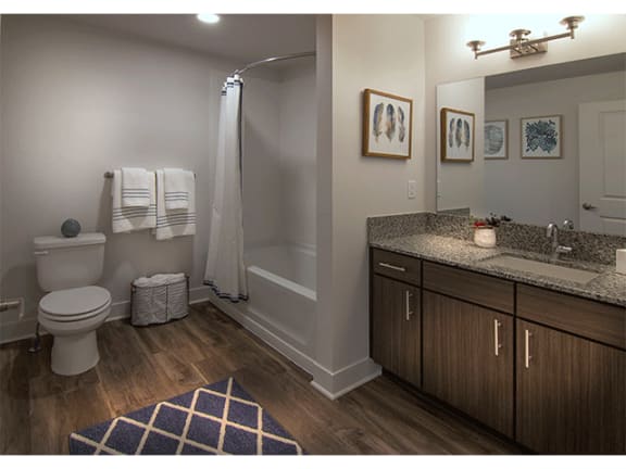 Spa Inspired Bathroom at Pinyon Pointe, Colorado