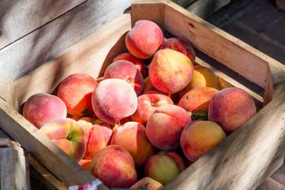 peaches at Spoke Apartments, Atlanta, 30307