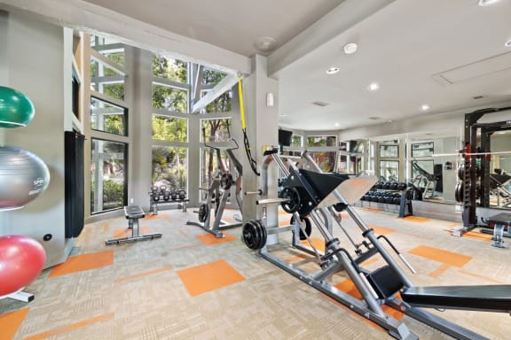 state of the art fitness center in webster apartments