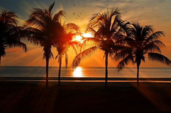 Sunshine View at The Luminary at 95, Florida
