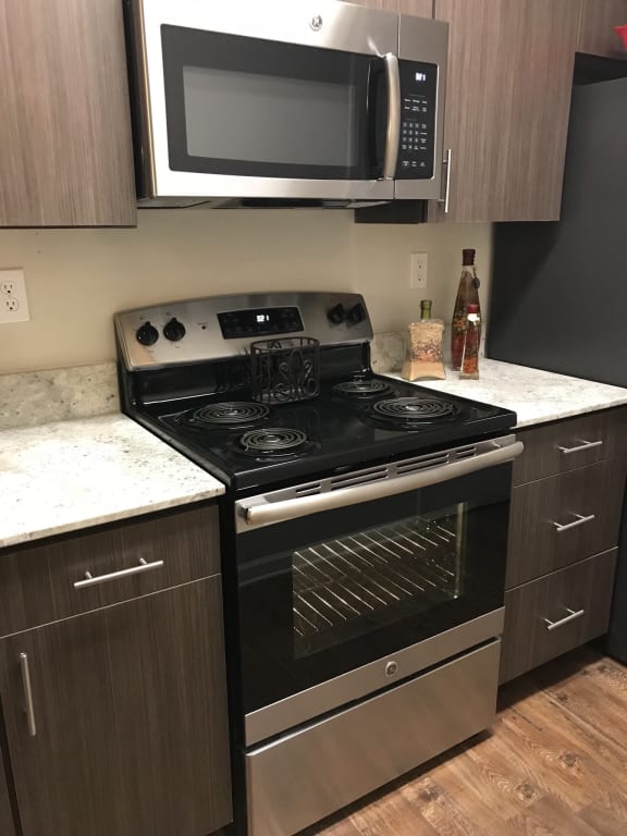 Stainless Steel Kitchen Appliances at Bridgewater Apartment Homes, Mississippi, 39047