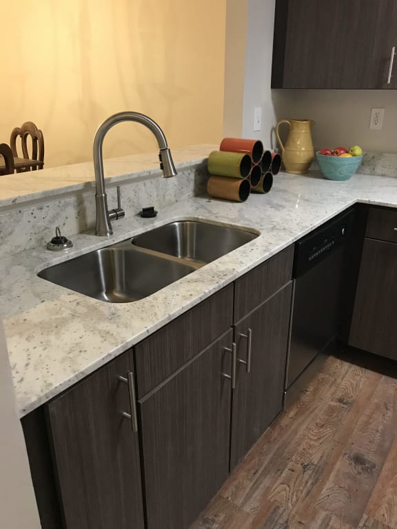 Newly Renovated Kitchen Sink at Bridgewater Apartment Homes, Brandon, Mississippi, 39047