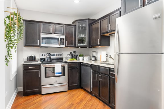 Fully Furnished Kitchen With Stainless Steel Appliances at Somerset Place Apartments, Chicago, 60640