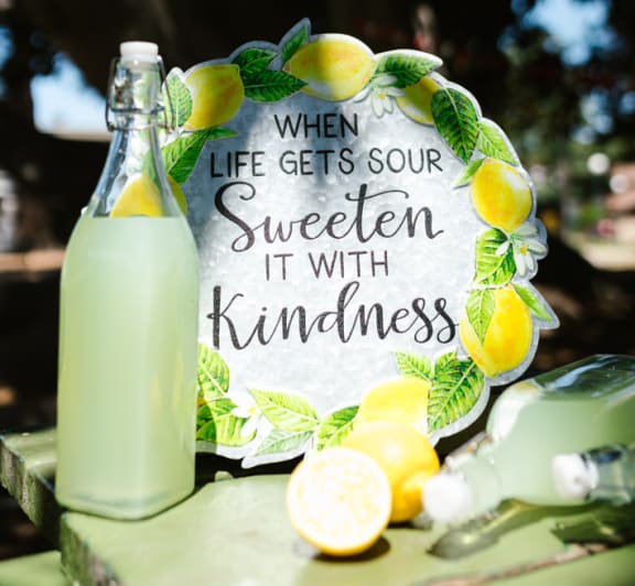 Lemon Juice at Willow Springs, California, 93117