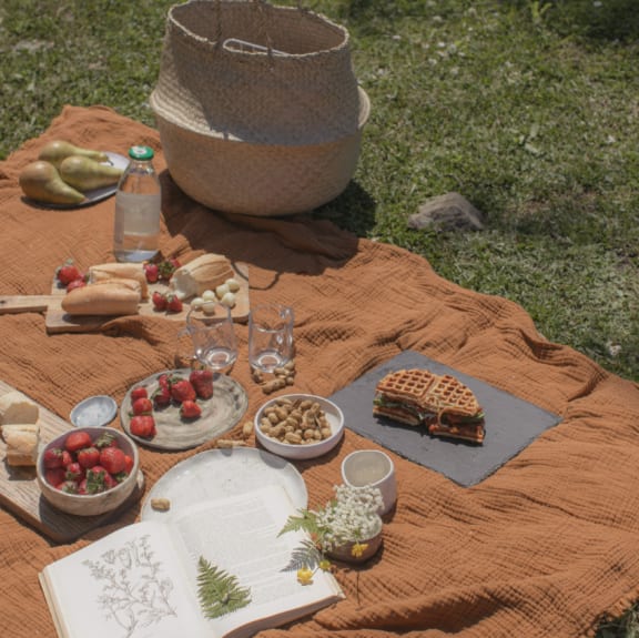 Picnic Items at Willow Springs, California