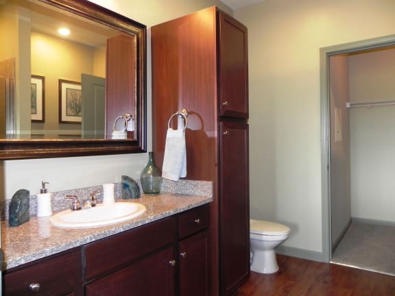Bathroom at LangTree Lake Norman Apartments, Mooresville, NC, 28117