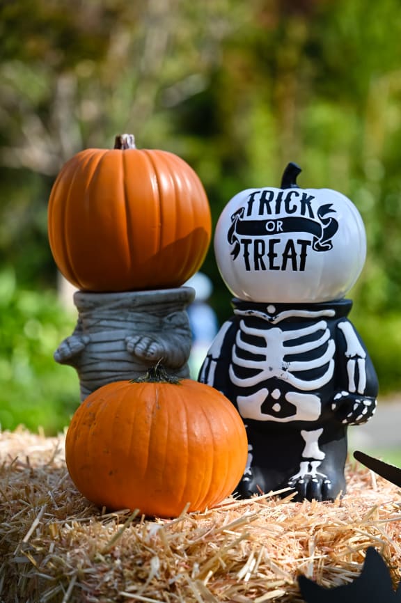 Halloween Decoration at Knollwood Meadows Apartments, Santa Maria