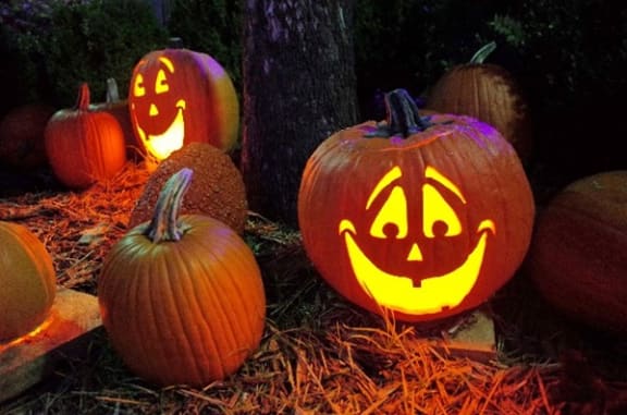 Halloween Pumpkin at Sumida Gardens Apartments, Santa Barbara, CA