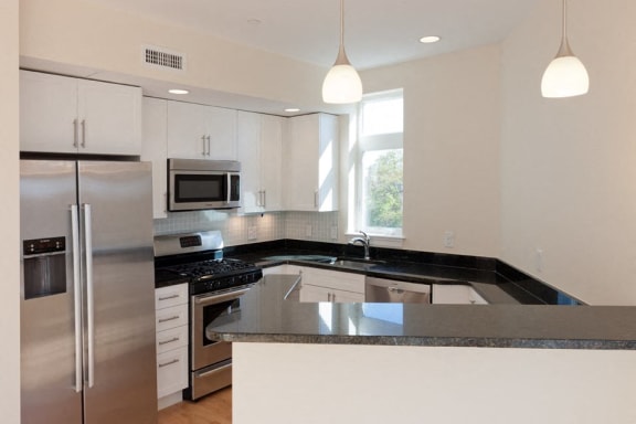 Modern Kitchen at 7 Cameron, Cambridge, MA