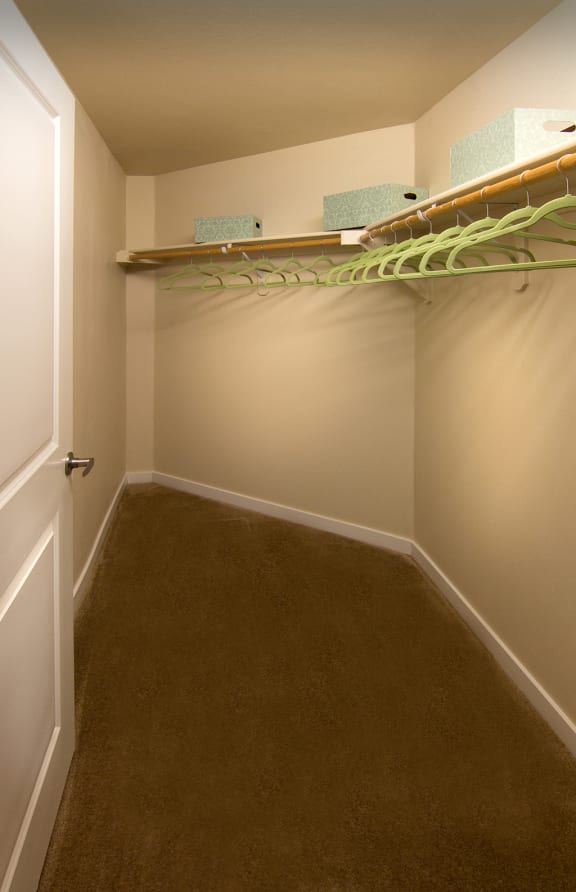 Large Closet at The Trails at Timberline, Fort Collins, CO