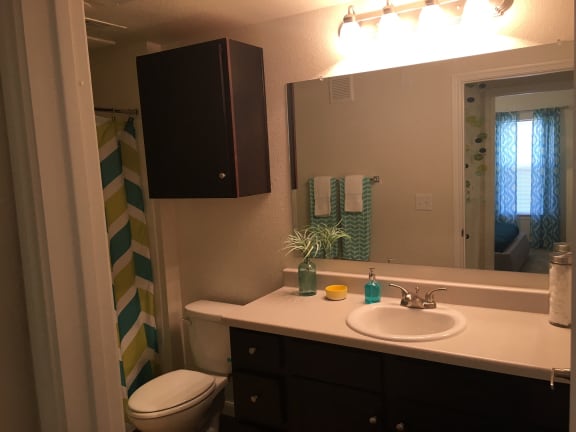 Designer Bathroom Suites at CLEAR Property Management , The Lookout at Comanche Hill, San Antonio