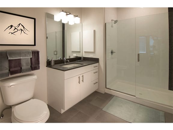 Bathroom Fitters at Cycle Apartments, Ft. Collins, CO