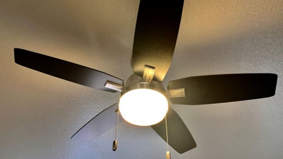 La reserve view of new ceiling fans with nice lighting