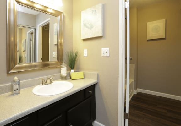 Bathroom With Storage at Water Ridge Apartments, CLEAR Property Management, Irving