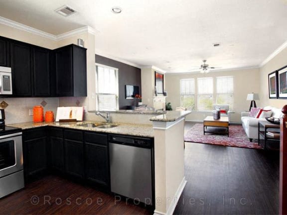 Granite Countertops at Landing at Round Rock, Round Rock, 78681