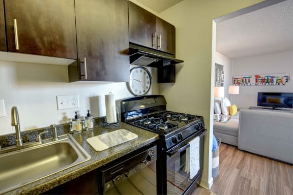 Fully Equipped Kitchen includes Gas Range