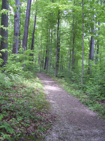 Bradford Ridge Apartments In Bloomington In Apartment And Community Amenities
