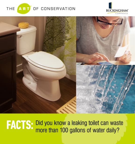 Energy Efficient Rental- Apartments at Grand Prairie, Peoria, Illinois