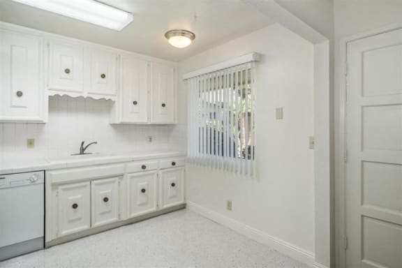 Dishwasher at Reef Apartments, Fresno, CA, 93704