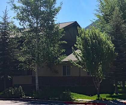 Image of trees in front of building