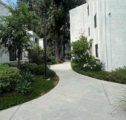 a walkway between two white buildings with trees and plants