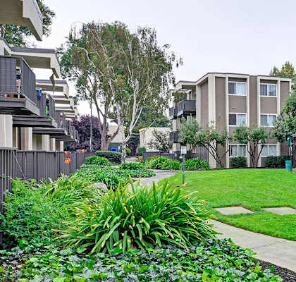 Exterior grounds at Turnleaf Apartments
