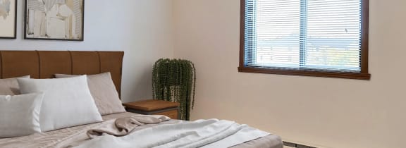 a bedroom with a bed and a window