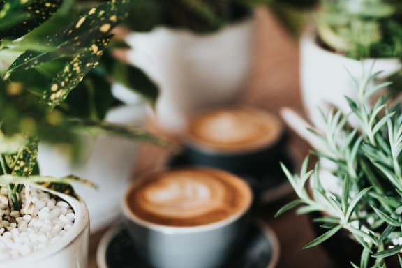 a row of coffee cups on a table with plants
