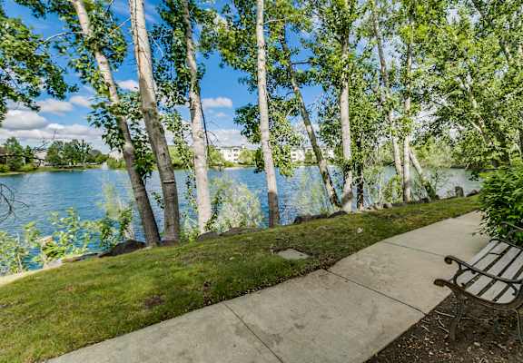 A bench sits on a concrete path next to a lake.