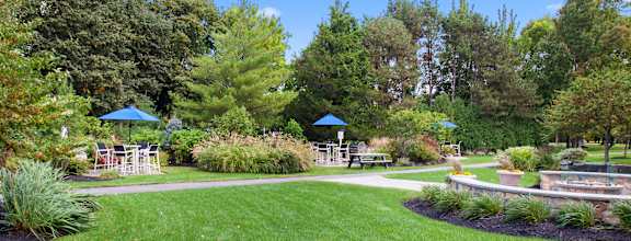 a view of a park with trees and a path