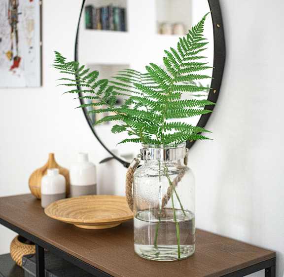 Fern in glass vase on wooden table in a simple indoor setting