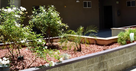 planter boxes in the courtyard