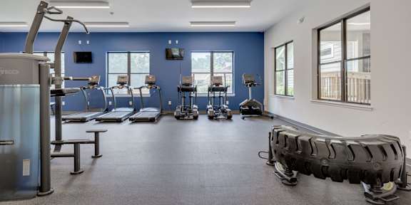 a home gym with weights and cardio equipment